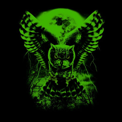 Owl flying in the full moon night T-shirt